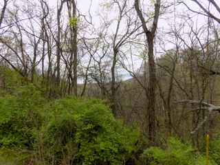 Par 067.14 Alpha Road, Newport, TN 37821
