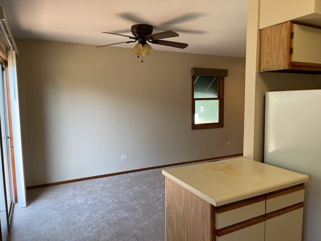 352 College Street, Crystal Lake, IL 60014