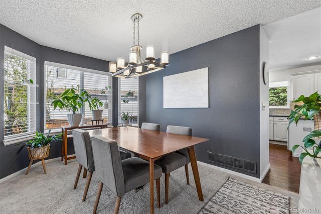 10104 Silver Maple Road, Highlands Ranch, CO 80129