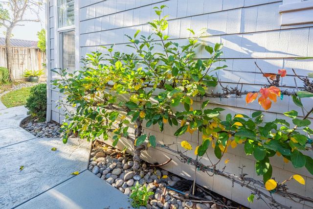 1119 First Street, San Juan Bautista, CA 95045