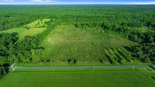 00 COUNTY ROAD 1471 ROAD, Waldo, FL 32694