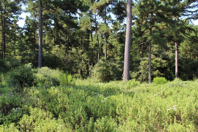 Tract 66 Private Road 1318, Centerville, TX 75833