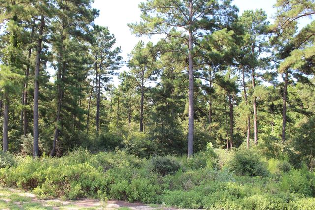 Tract 66 Private Road 1318, Centerville, TX 75833