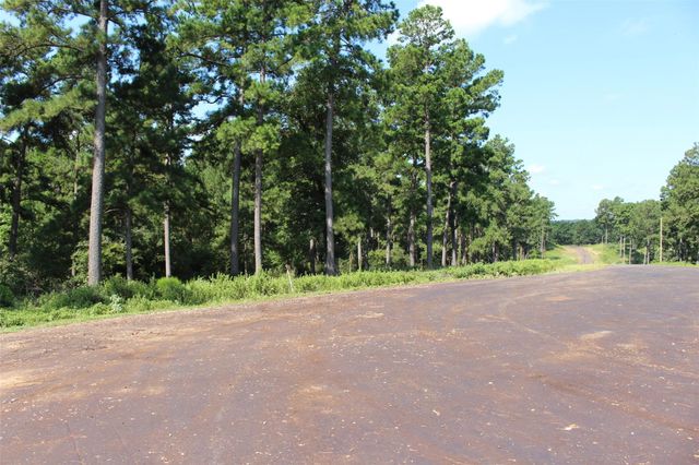 Tract 66 Private Road 1318, Centerville, TX 75833