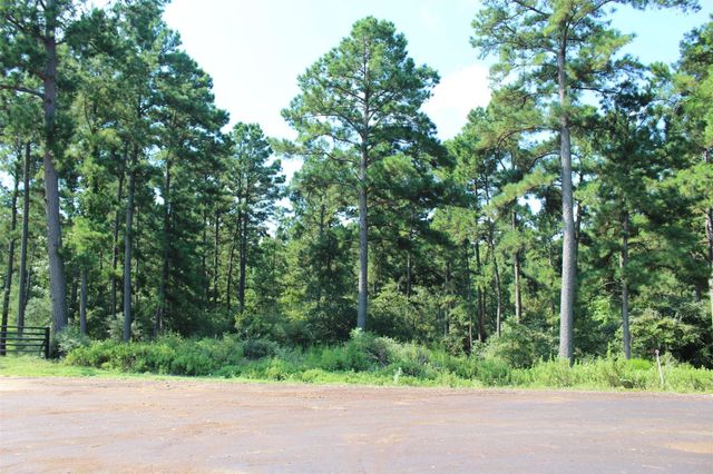 Tract 66 Private Road 1318, Centerville, TX 75833