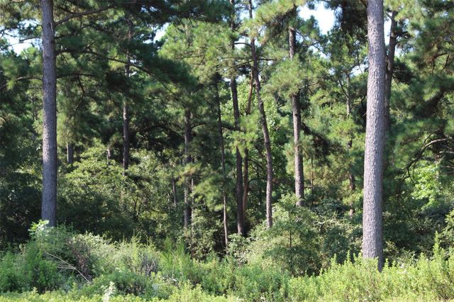 Tract 66 Private Road 1318, Centerville, TX 75833