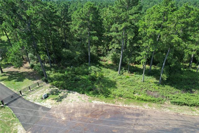 Tract 66 Private Road 1318, Centerville, TX 75833