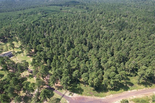 Tract 66 Private Road 1318, Centerville, TX 75833