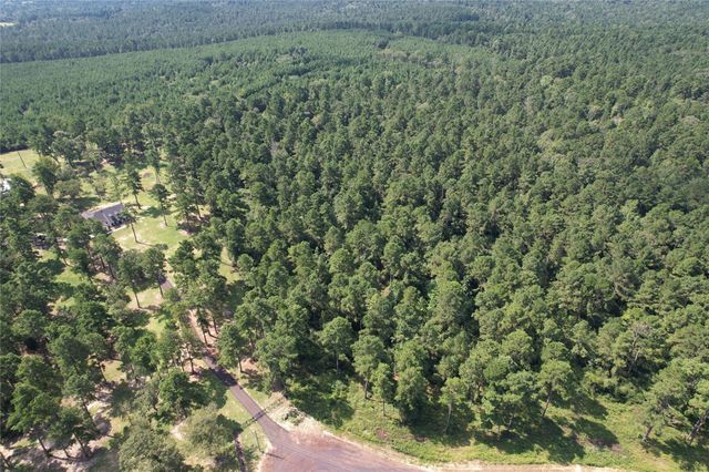 Tract 66 Private Road 1318, Centerville, TX 75833