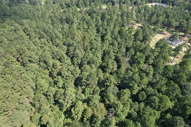Tract 66 Private Road 1318, Centerville, TX 75833