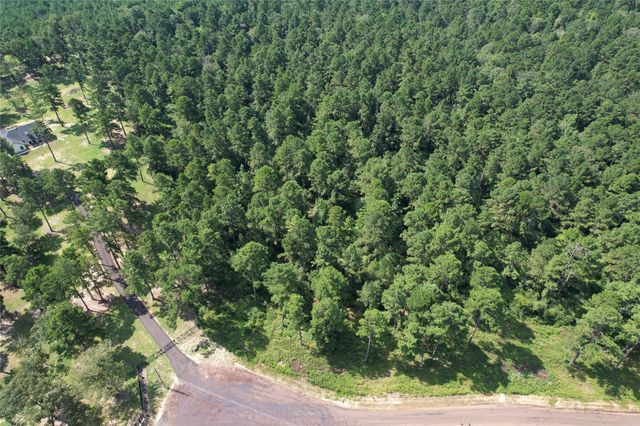 Tract 66 Private Road 1318, Centerville, TX 75833