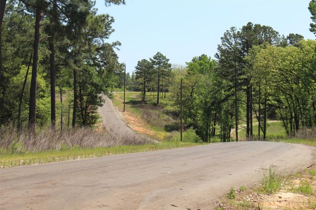 Tract 66 Private Road 1318, Centerville, TX 75833