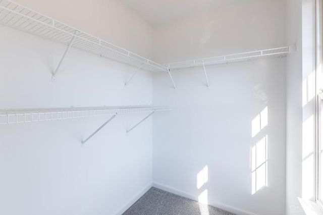 5542 Safari Drive, Liberty Twp, OH 45044