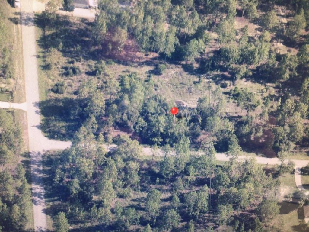 0 SW 209 AVENUE, Dunnellon, FL 34431