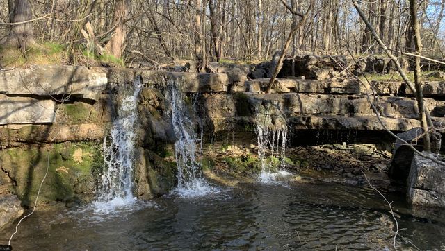 444 Elizabeth Drive, Branson, MO 65616