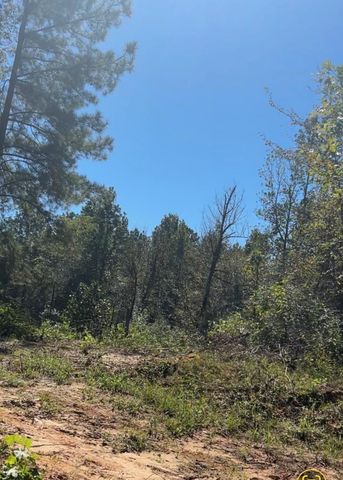 0 Brantly Drive, Livingston, TX 77351