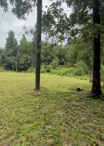 0 Brantly Drive, Livingston, TX 77351