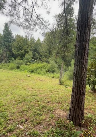 0 Brantly Drive, Livingston, TX 77351