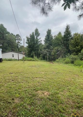0 Brantly Drive, Livingston, TX 77351