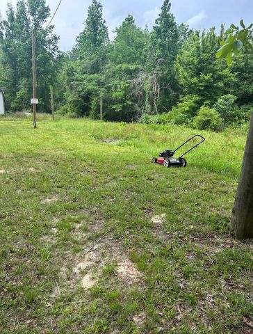 0 Brantly Drive, Livingston, TX 77351