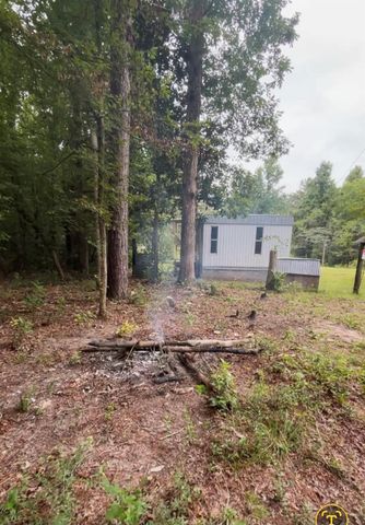 0 Brantly Drive, Livingston, TX 77351