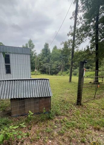 0 Brantly Drive, Livingston, TX 77351