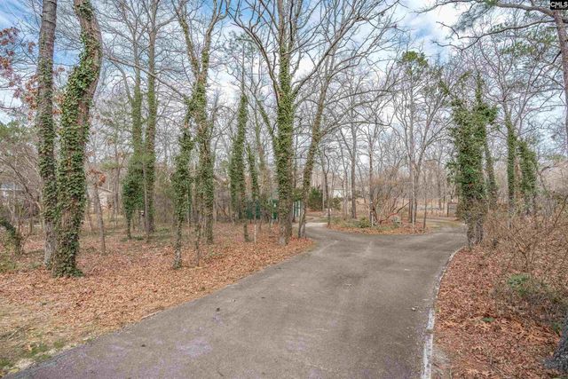 18 Blackhawk Court, Blythewood, SC 29016