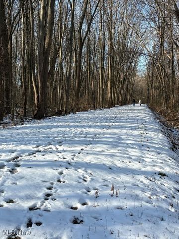 42141 Emerson Court, Elyria, OH 44035