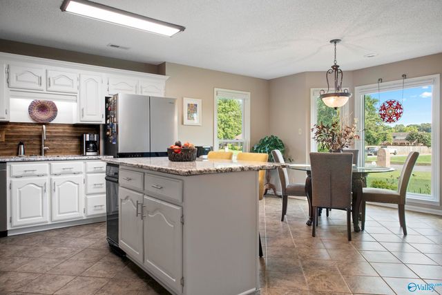 197 Terry Lane, Trinity, AL 35673