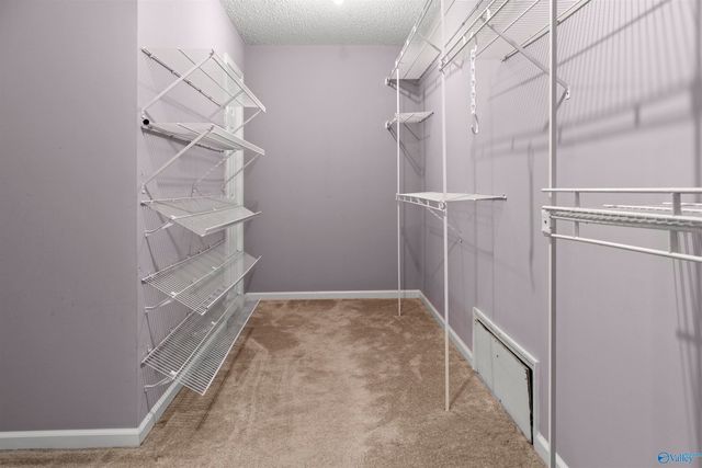 197 Terry Lane, Trinity, AL 35673