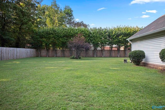 197 Terry Lane, Trinity, AL 35673