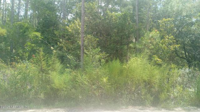 0 KIRCHHERR Avenue, Hastings, FL 32145