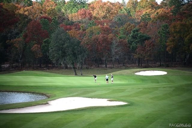 2353 N Mia Point, Lecanto, FL 34461