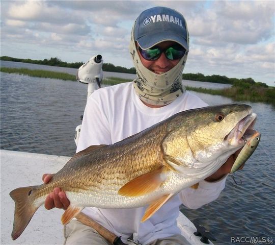 2353 N Mia Point, Lecanto, FL 34461