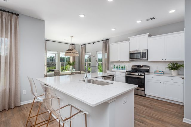 1046 Lettered Olive Lane, Summerville, SC 29485
