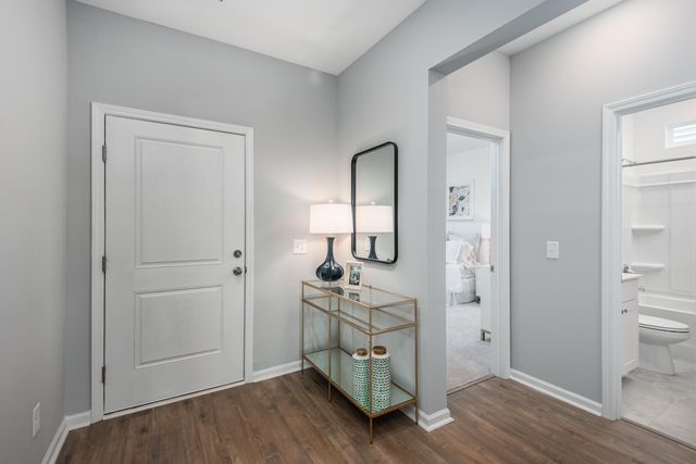 1046 Lettered Olive Lane, Summerville, SC 29485