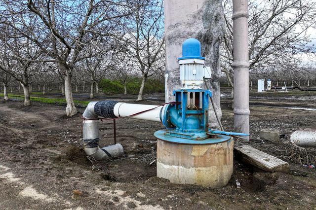 Rd 180, Strathmore, CA 93267