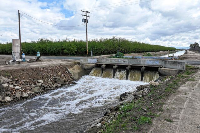 Rd 180, Strathmore, CA 93267