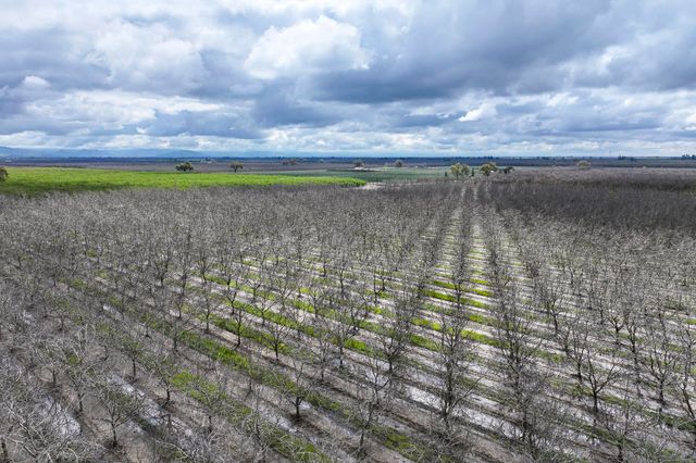 Rd 180, Strathmore, CA 93267