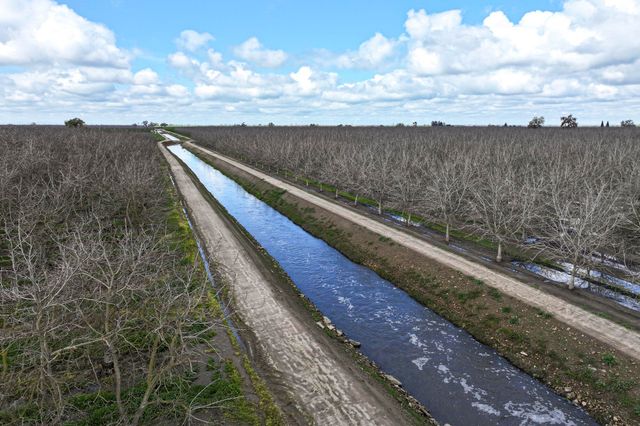 Rd 180, Strathmore, CA 93267