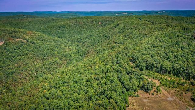 0 Porter Road, Shirley, AR 72153