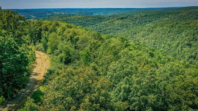 0 Porter Road, Shirley, AR 72153