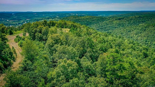 0 Porter Road, Shirley, AR 72153