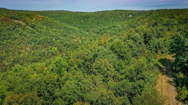 0 Porter Road, Shirley, AR 72153