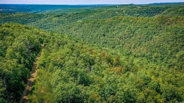 0 Porter Road, Shirley, AR 72153