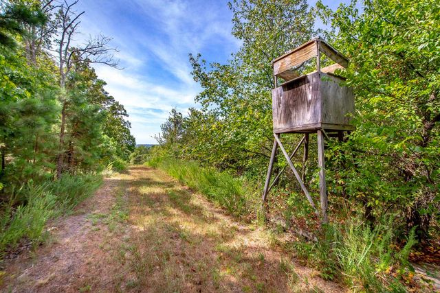 0 Porter Road, Shirley, AR 72153