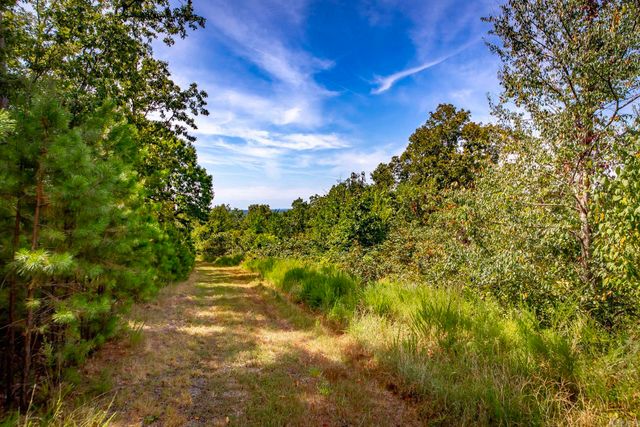 0 Porter Road, Shirley, AR 72153