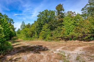 0 Porter Road, Shirley, AR 72153