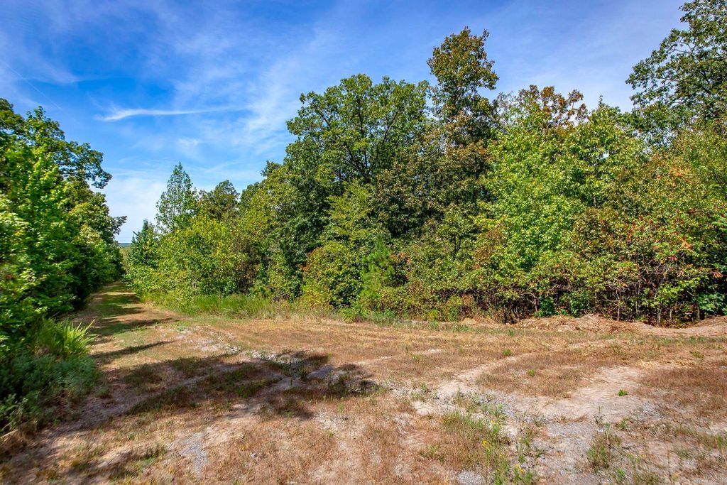 0 Porter Road, Shirley, AR 72153