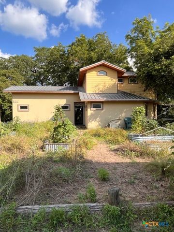 121 Butler Lane, Martindale, TX 78655